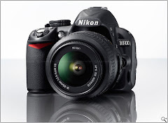 Nikon D3100