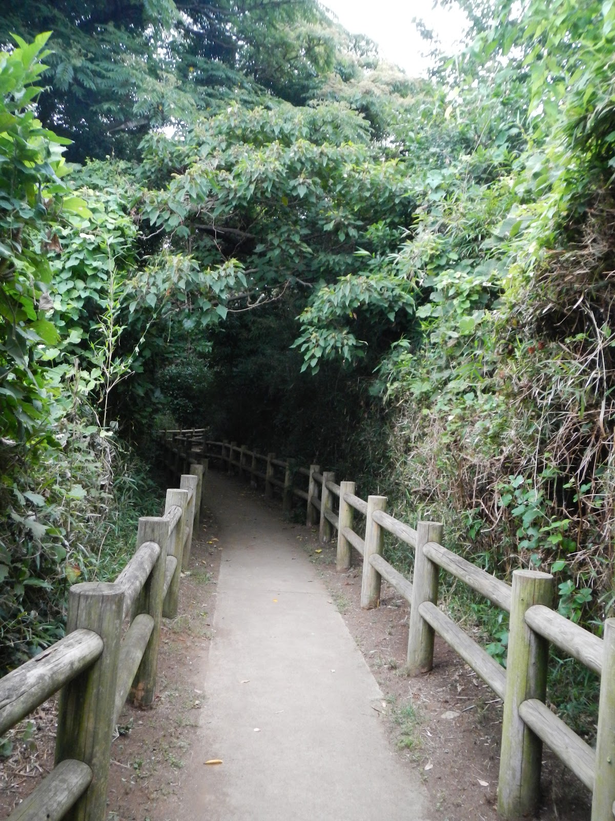 Adventures in Yokosuka Monkey Island