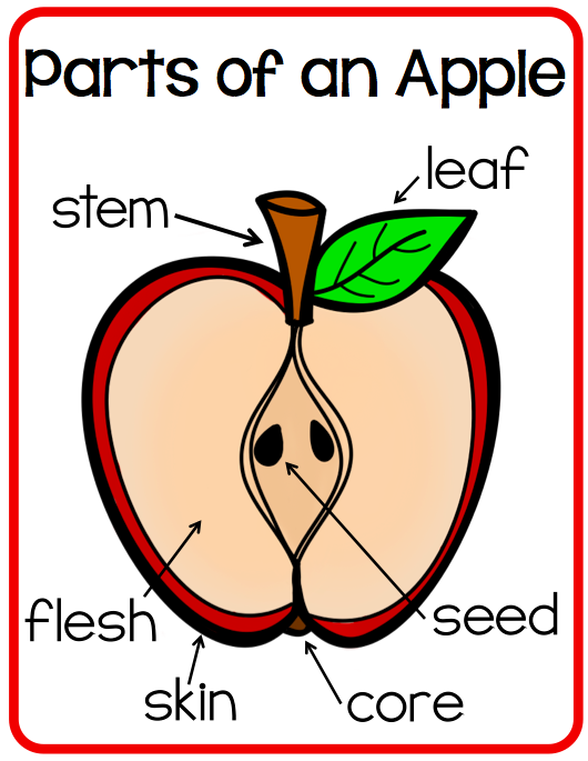 Screen+Shot+20140913+at+1.42.35+PM.png 530×685 pixels Apple facts