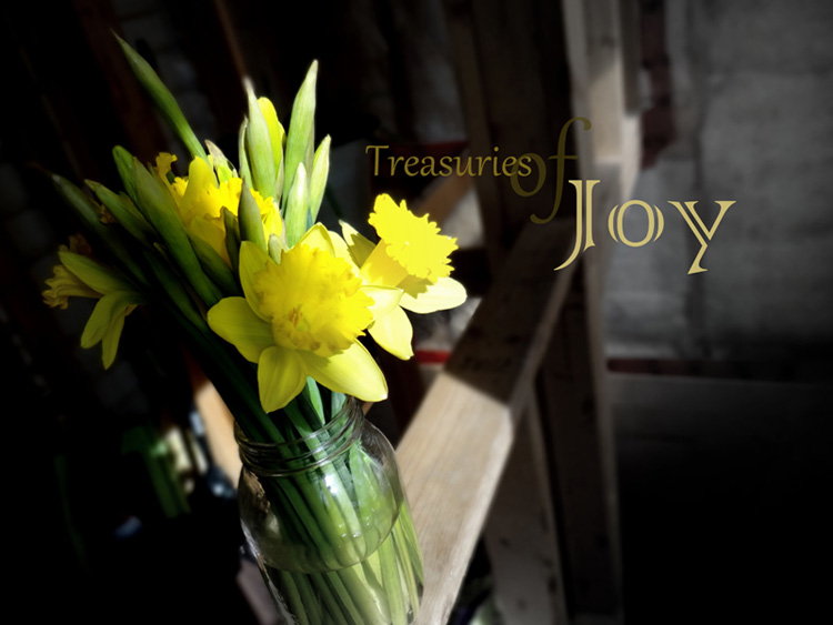 Treasuries of Joy