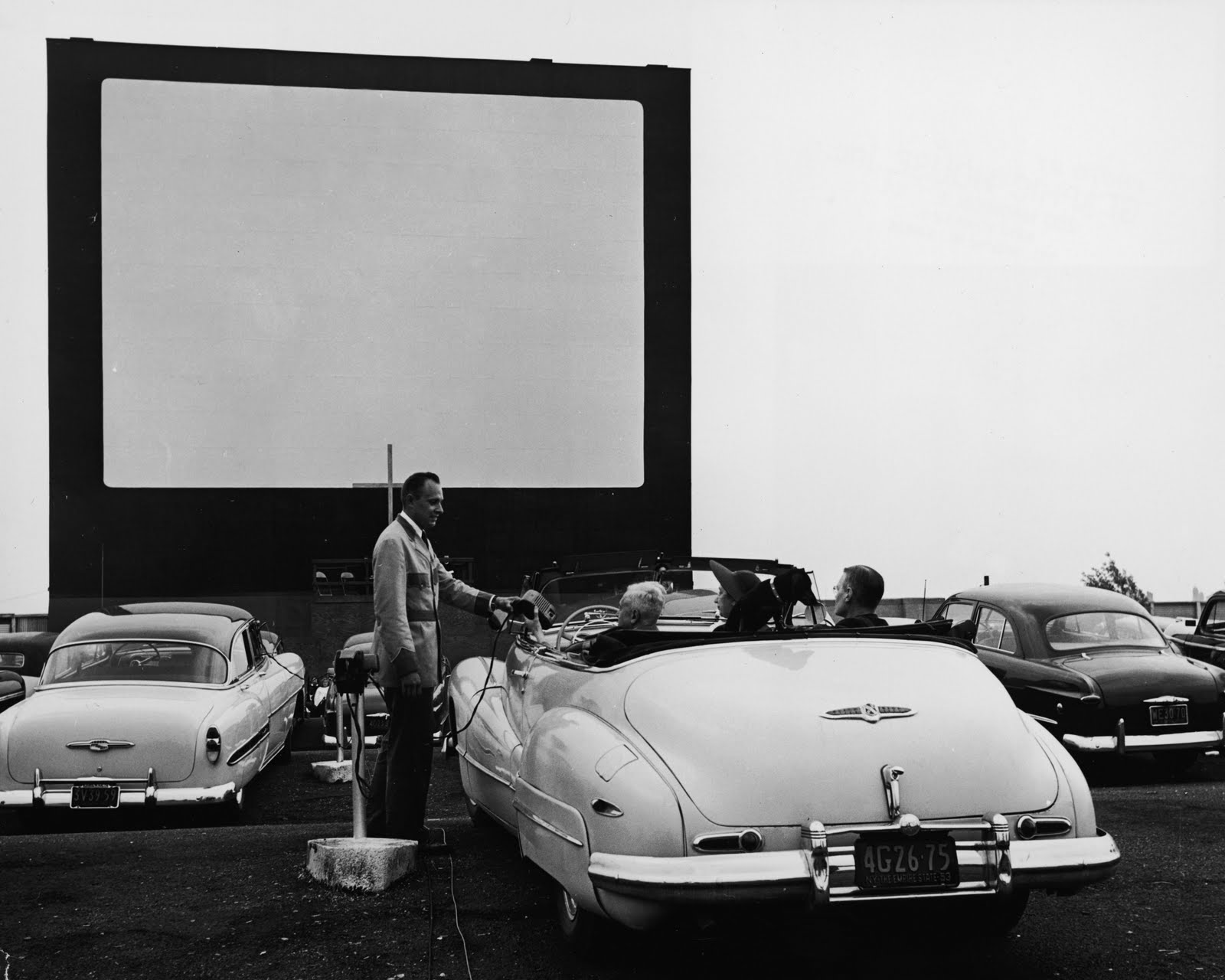 Drive In [1975]