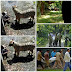 GAMBAR LELAKI YANG MAUT DIBAHAM HARIMAU DI ZOO NEW DELHI INDIA