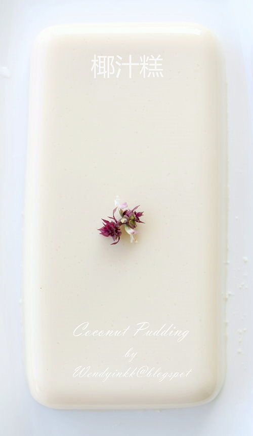 Table for 2.... or more Hong Kong Style Coconut Pudding Jelly 3