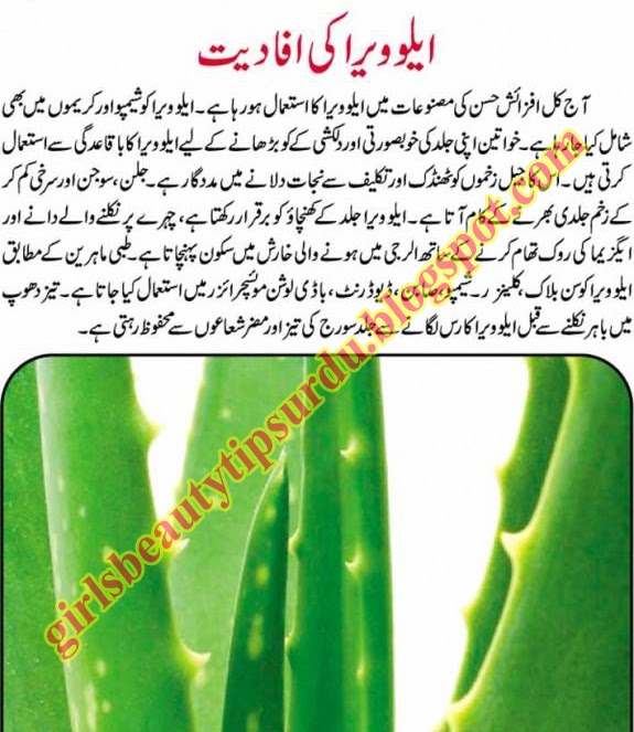 Natural Beauty Tips English Urdu And Hindi All Over The World