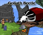 Journeys of Reemus 4 Goliath Beetle walkthrough