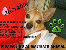 NO LOS MALTRATES!!! DIGAMOS NO AL MALTRATO ANIMAL