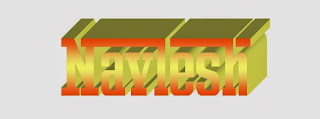 Navlesh 3D Name Logo