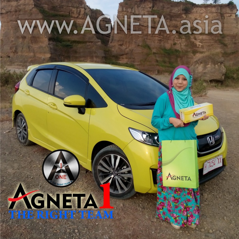 Mari bermitra dengan saya berbisnis Agneta