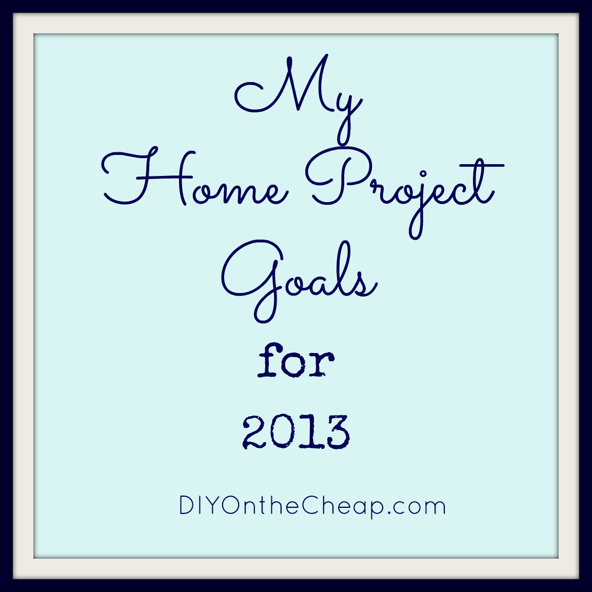 Project Goals for 2013 Erin Spain