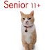 Cat Care For the Senior Cat