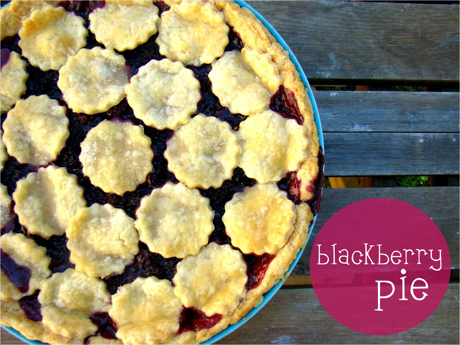 sweetie pie blackberry care sweetie pie blackberry care