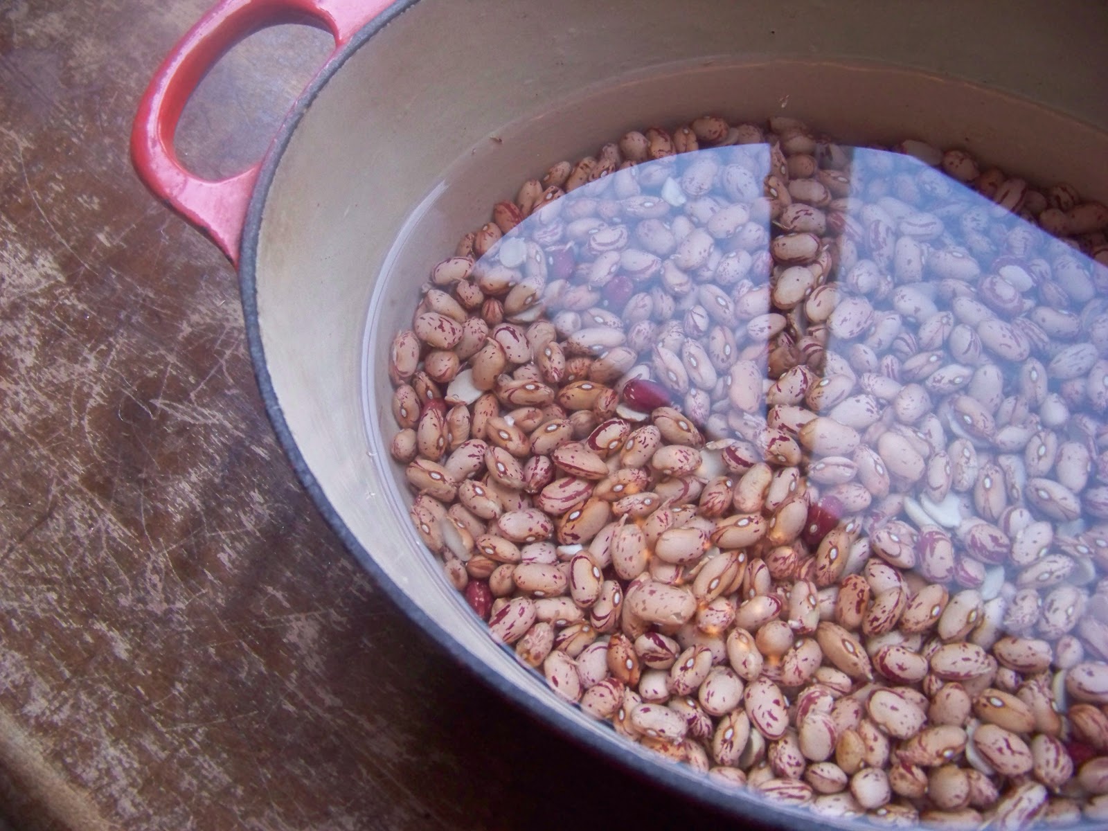Tora's real food Pork and beans with Alton Brown's pickled pork for 