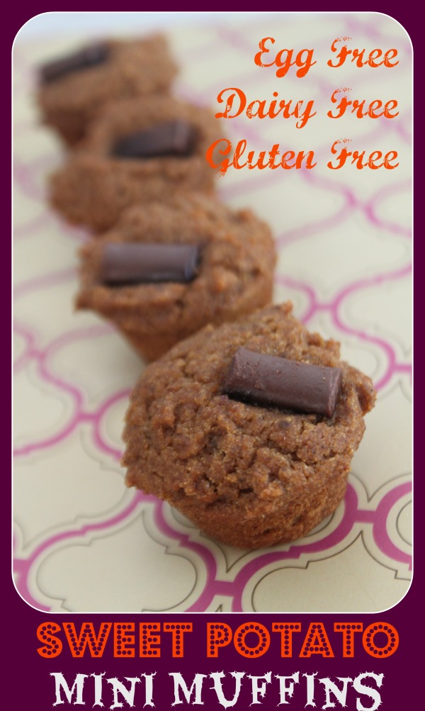 MamaEatsClean Egg, Gluten and Dairy Free Sweet Potato Mini Muffins