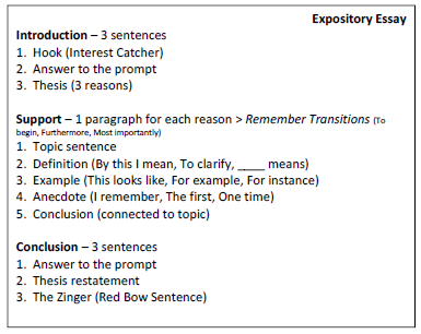 define expository essay