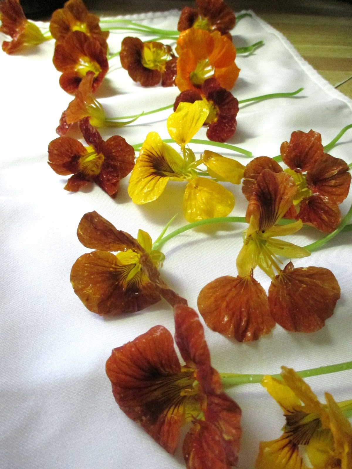 Just my Stuff Dried Nasturtium and Nasturtium Capers