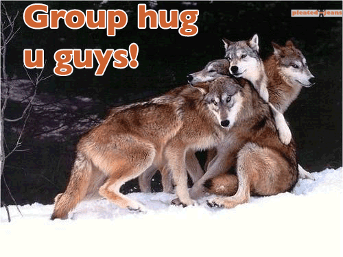 group-hug-wolves.png