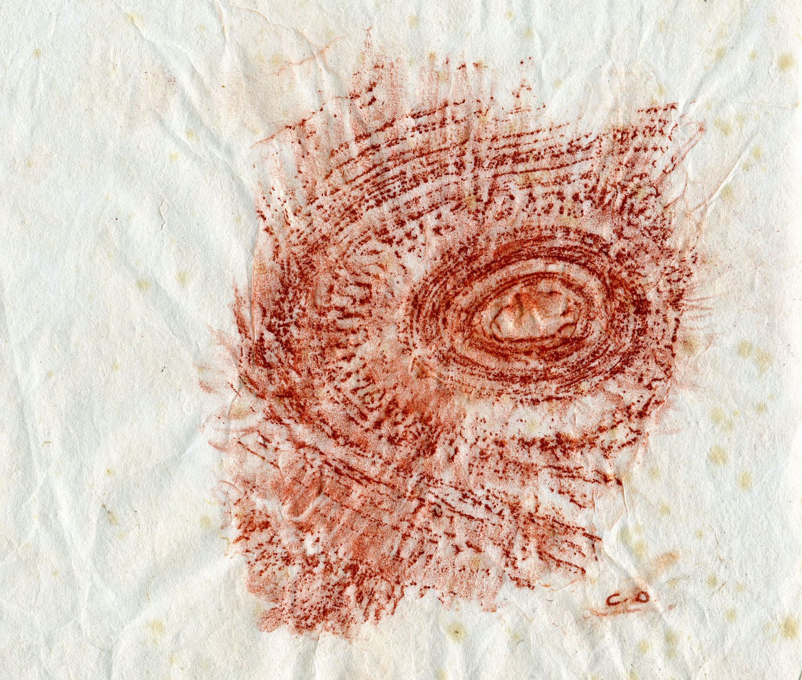 Chris Drury microcosm and macrocosm