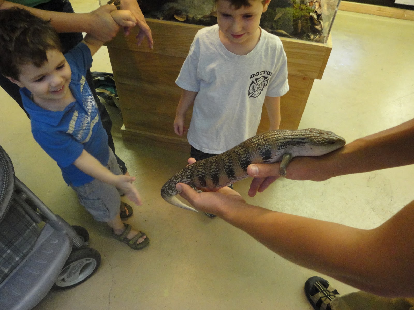 SUE'S ESCAPE FROM CANCERLAND The Reptile Zoo