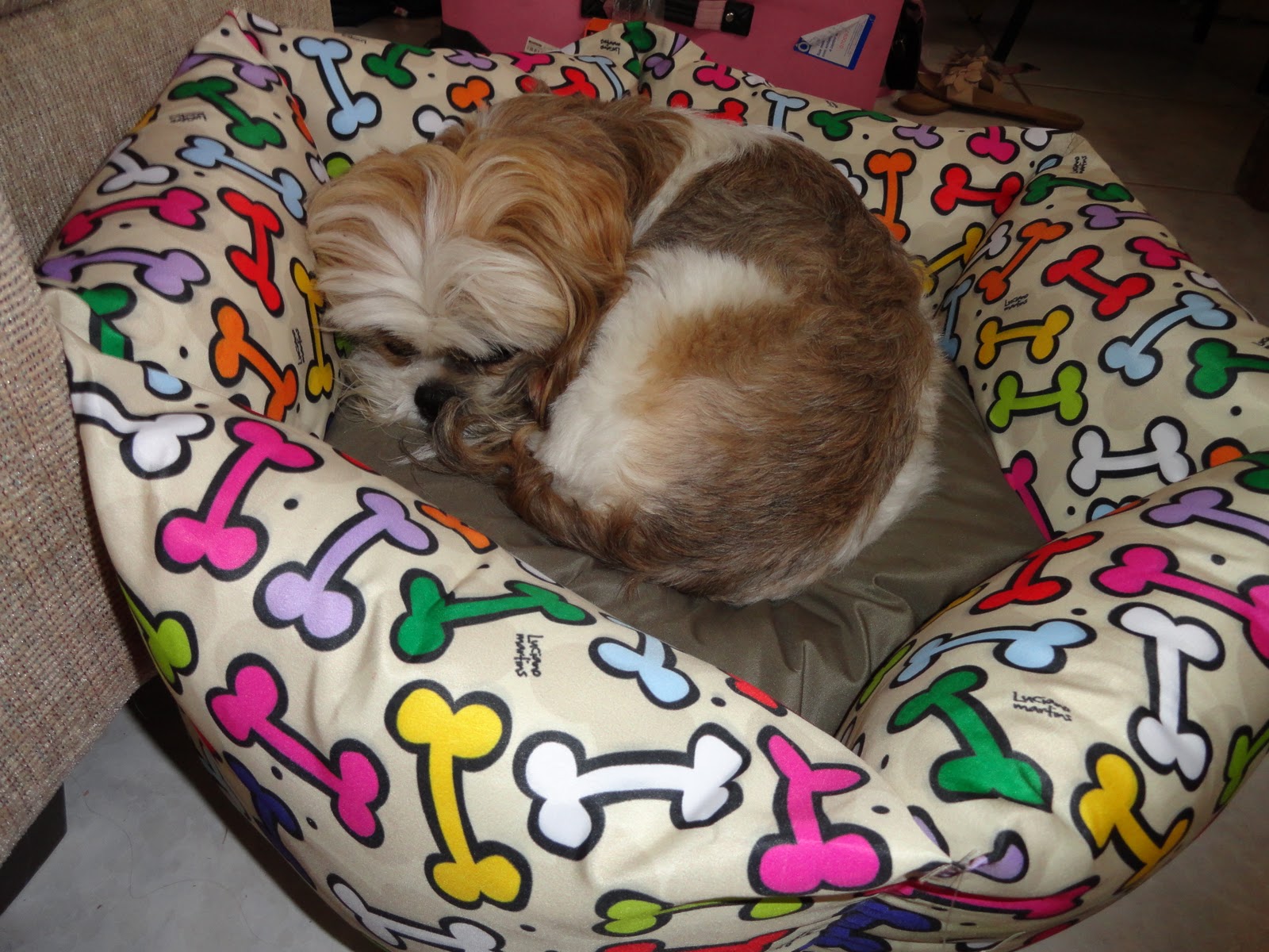 Ateliê da Léa: Decoração - Cama para cachorro