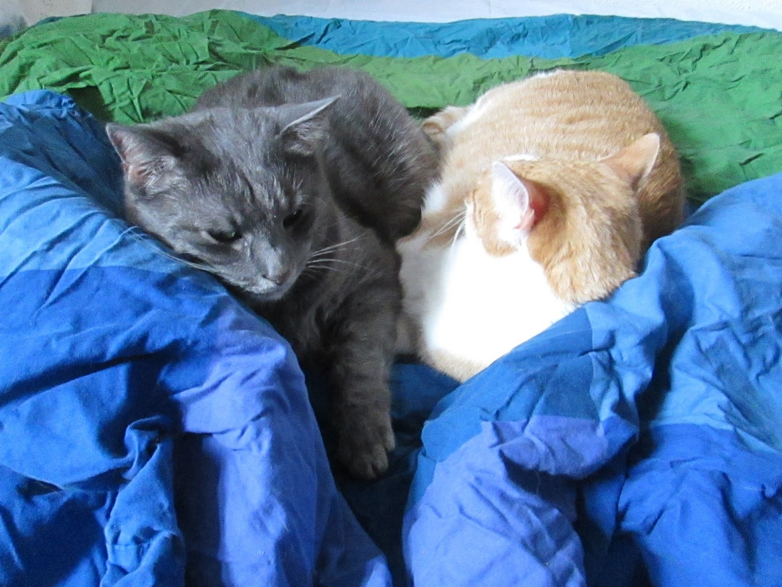 Kokelores Kunst Kitsch Katzen Mai 2013