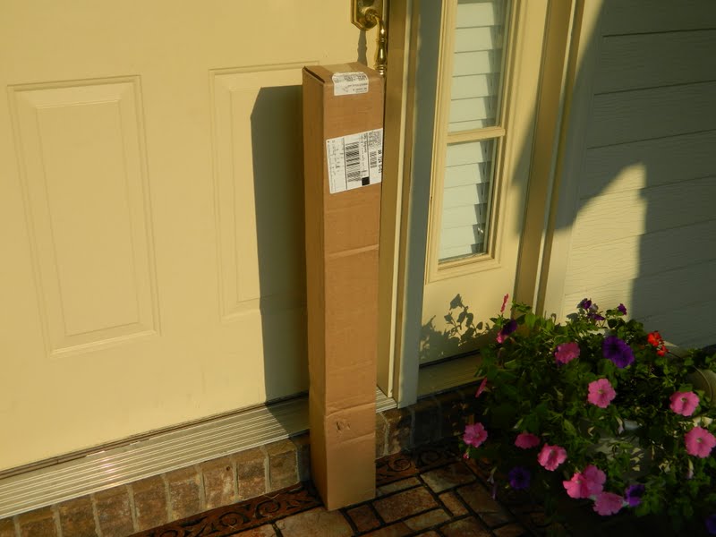 Garden Musings Sugar Tip Rose Of Sharon