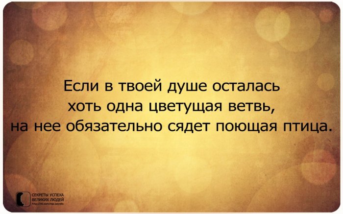 Его губы были соленые Его губы были соленые