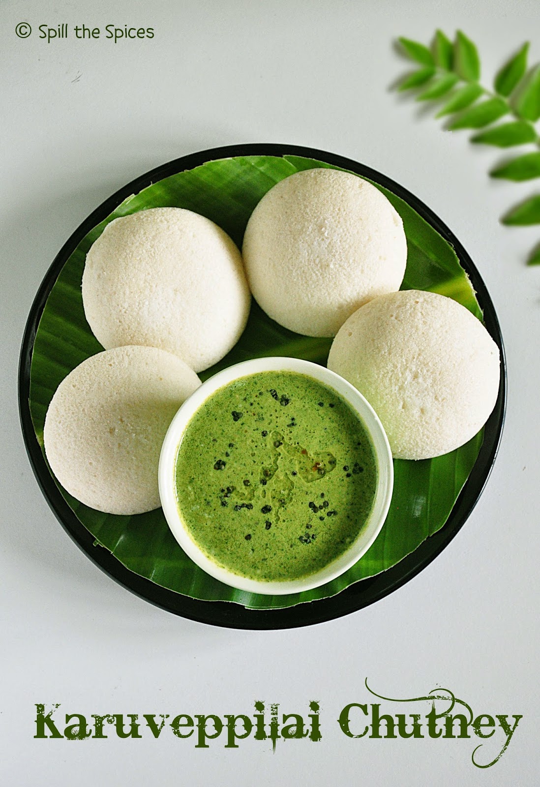 Karuveppilai Chutney Curry Leaves Chutney Spill the Spices