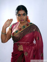 Jayavani Latest Saree Pics stills 3 pic 16