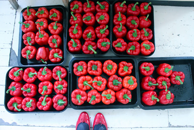 red peppers, red shoes,  msmarmitelover's Frida Kahlo supperclub