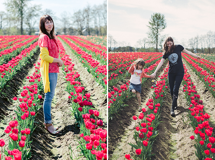 red-tulip-field tulip-festival