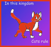 Cats Rule