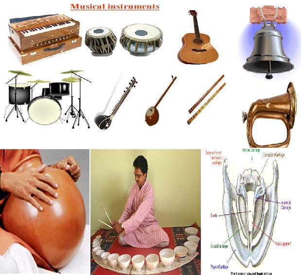 CBSE PHYSICS IXVIIIPhysics Refraction of Sound Explanation