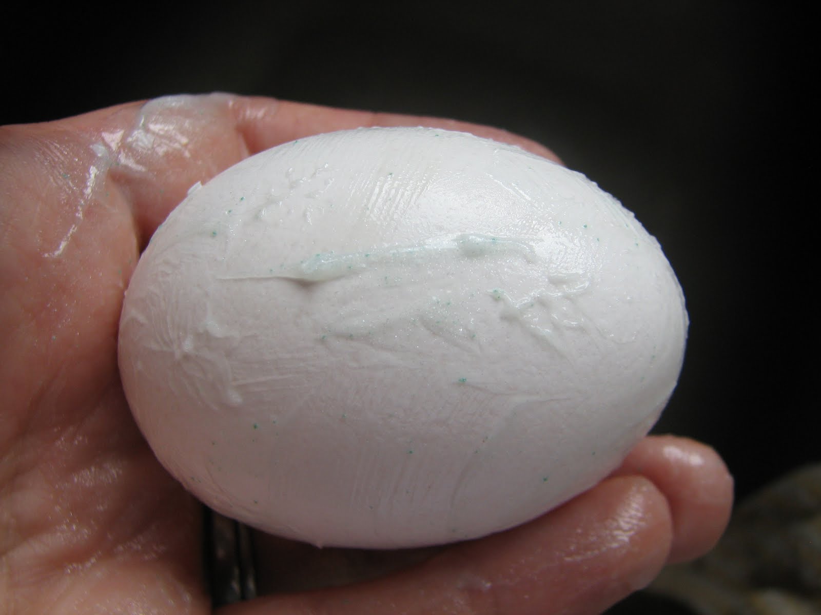 Science Matters The Importance of Brushing Teeth Part II