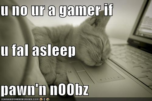 Gamer Cat
