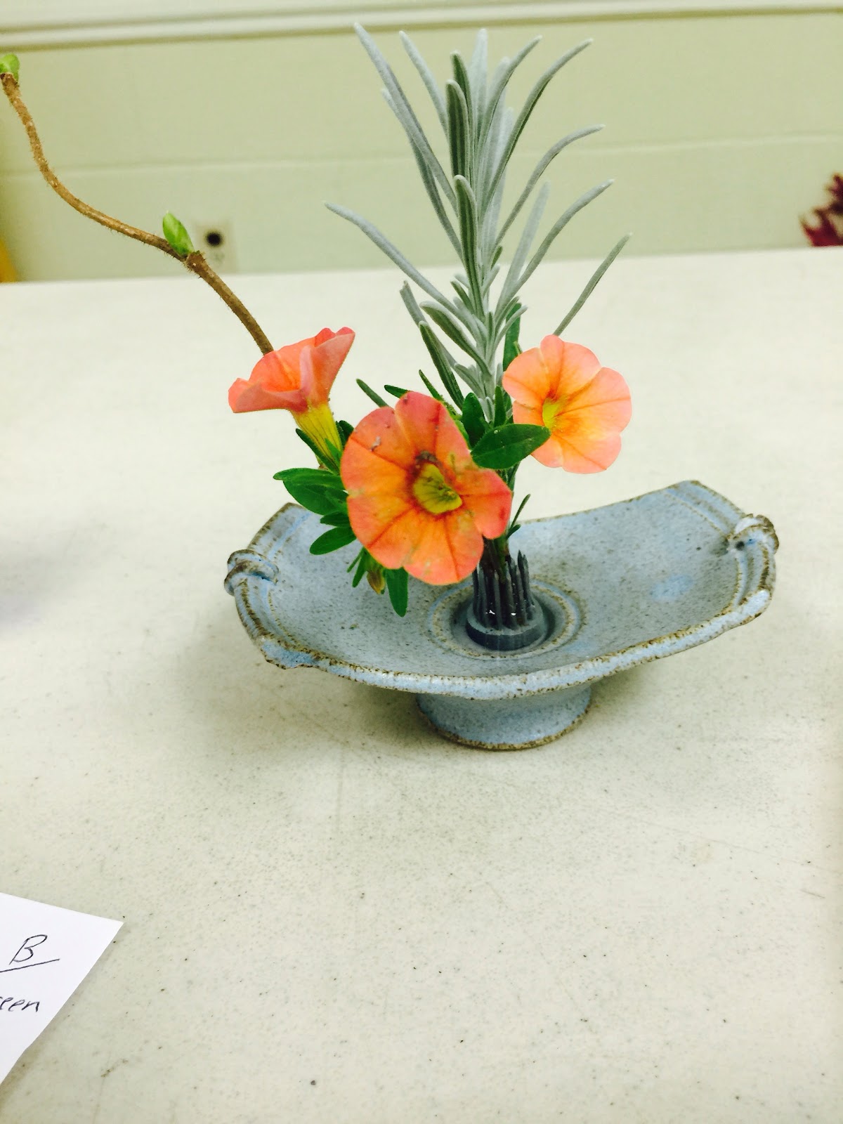 New Garden Club Journal: Miniature and Small Designs
