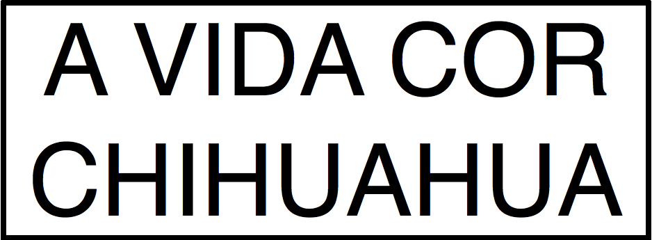 A vida cor Chihuahua