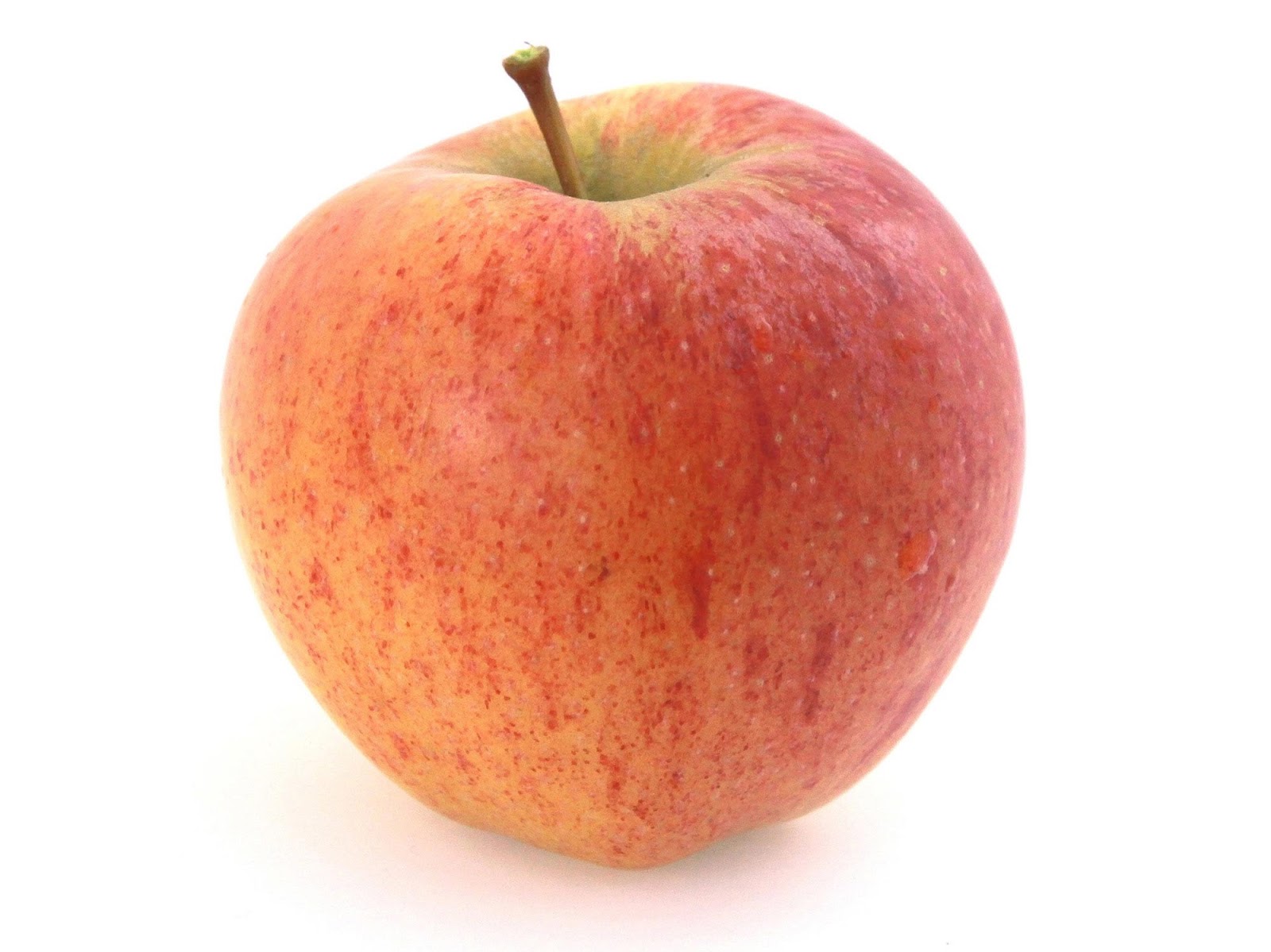 New Zealand Royal Gala Red Apple on White Background CreativityWindow™