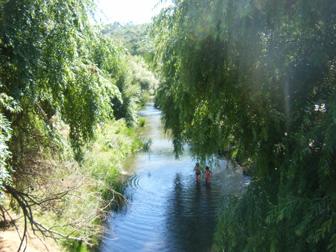 Rio Nabão