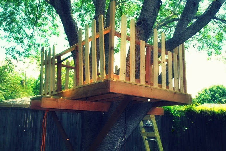 How to build a Treehouse Around a Tree