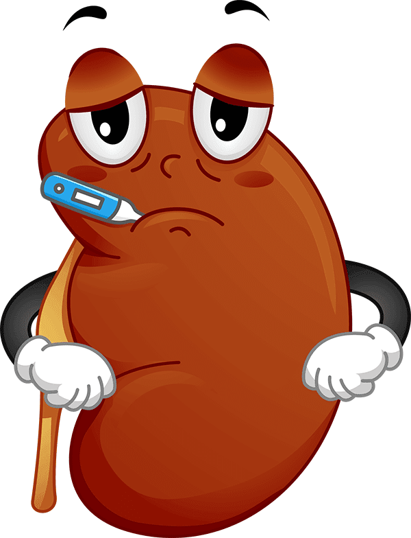 Is Kidney Beans Good For Ckd Patients at Bradley Eaton blog