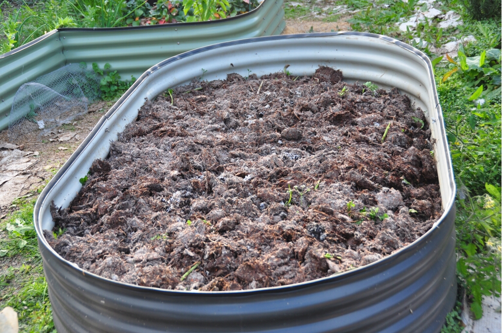Barefoot Bounty Mushroom compost