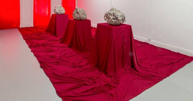 Longitudes Latitudes S News Updates And Reportage