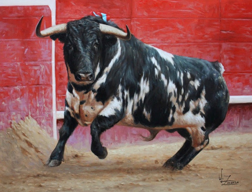 Redalumnos Fotos De Toros