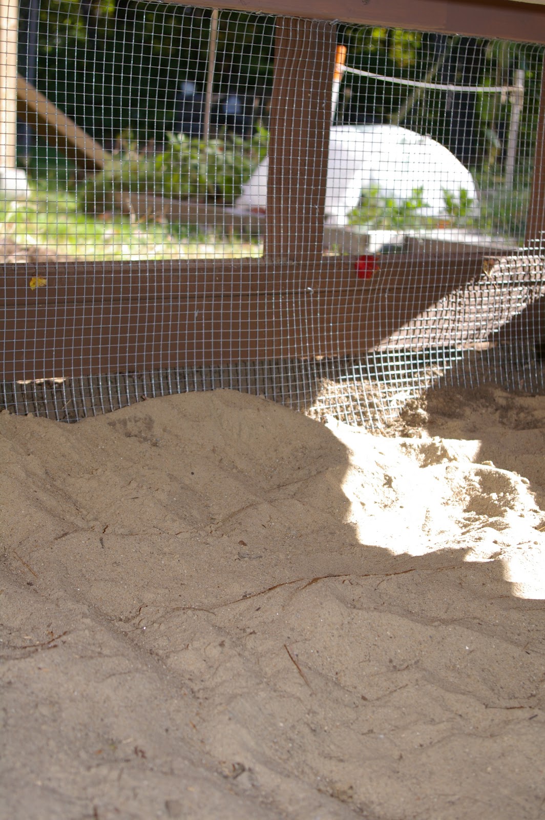 A Playground for Chickens Community Chickens