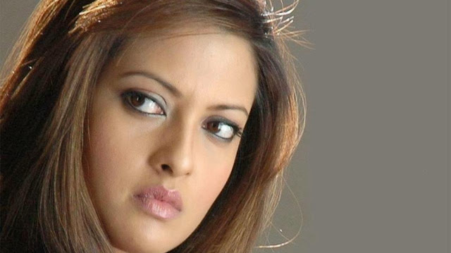 Riya Sen Hd Wallpapers