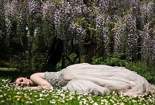 KÃ©ptalÃ¡lat a kÃ¶vetkezÅre: âenergiÃ¡n fÃ¶ldelÃ©seâ