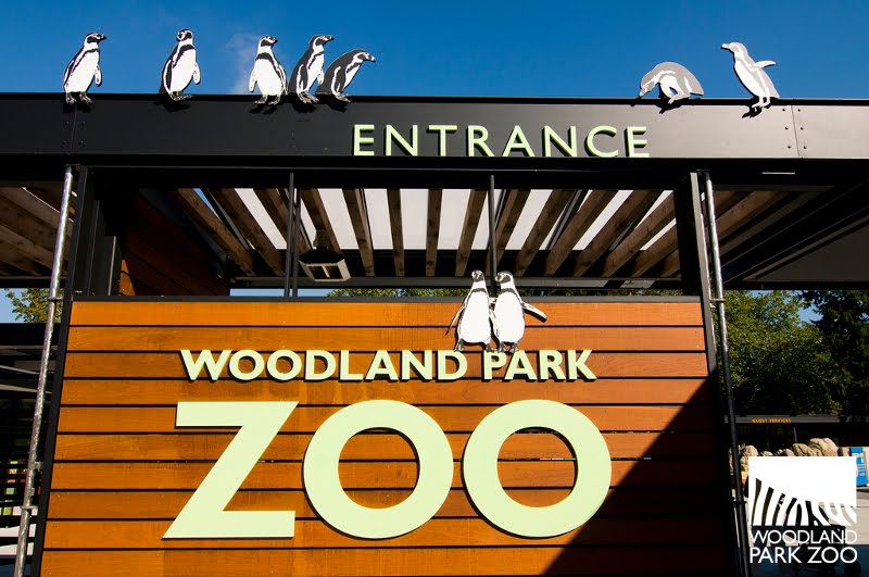 Woodland Park Zoo Blog From the Tour Guide’s Side of the Zoo
