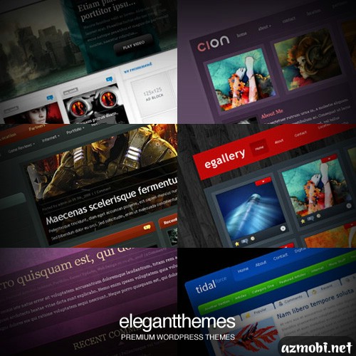ElegantThemes Premium WordPress Themes 14.12.2012
