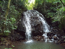 Pernambuco - Faxinal-PR