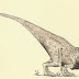 Aucasaurus